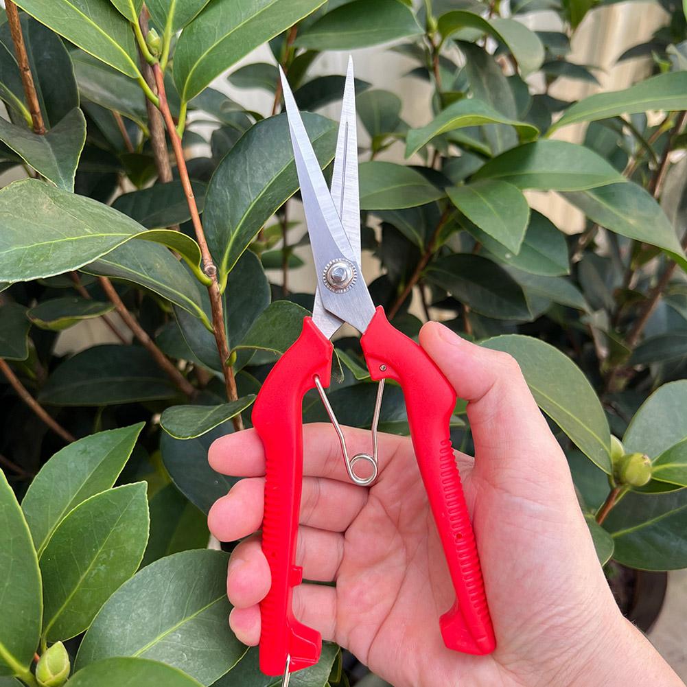 Gardening Tools Basic - Pro Garden Pruning Shears Lengthened Tree
