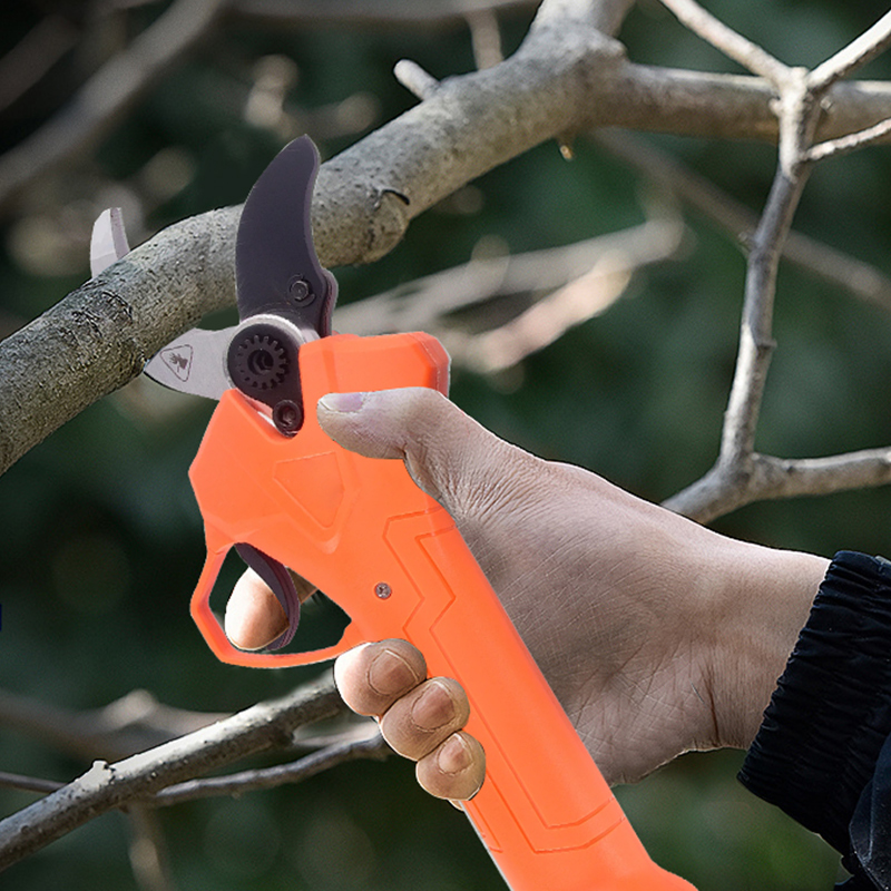Hot Sale 42V Bodypack Electric - đánh giá và giá Gardening Tools Of