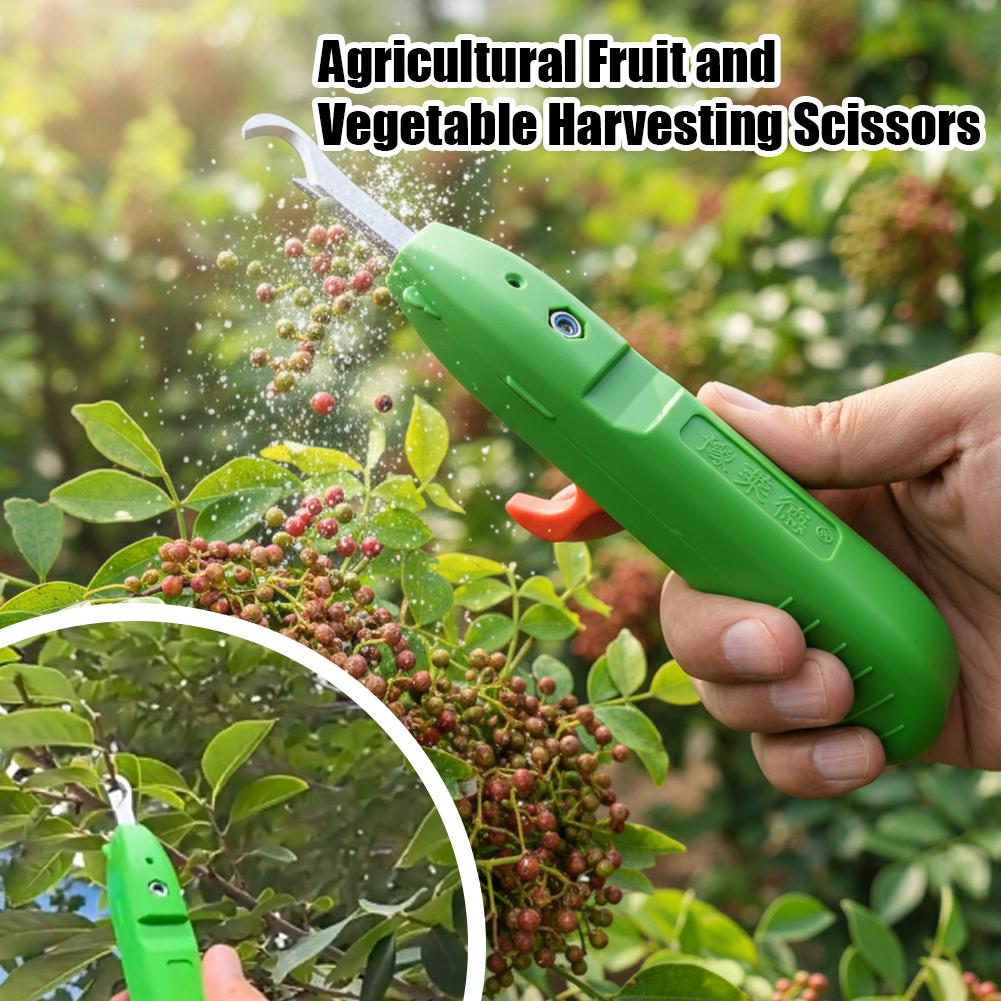 Fruit And Vegetable Picking Sh - đánh giá và giá Gardening Tools Basic