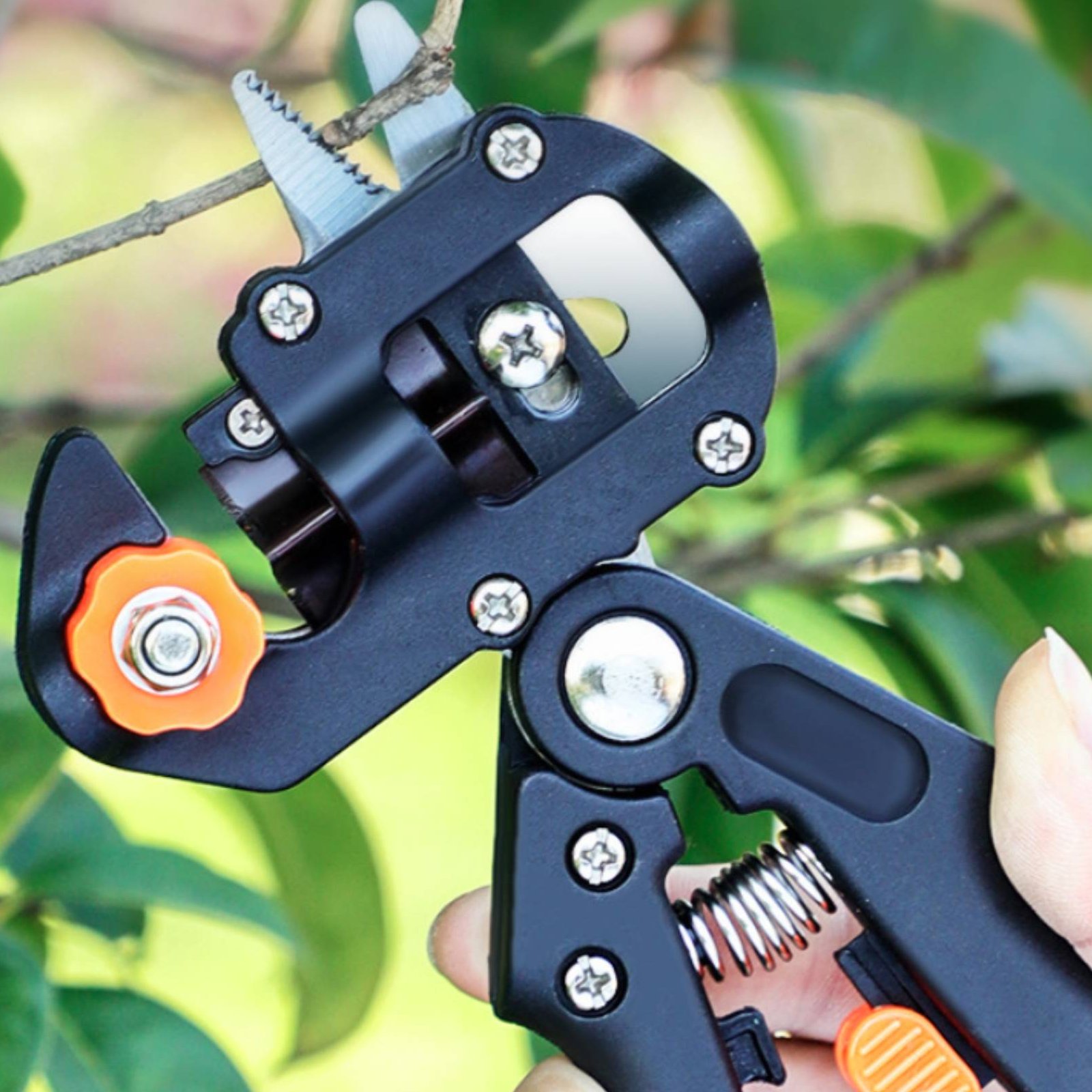 Pruning Grafting Shears 2 in 1 - đánh giá và giá Pruning Shears