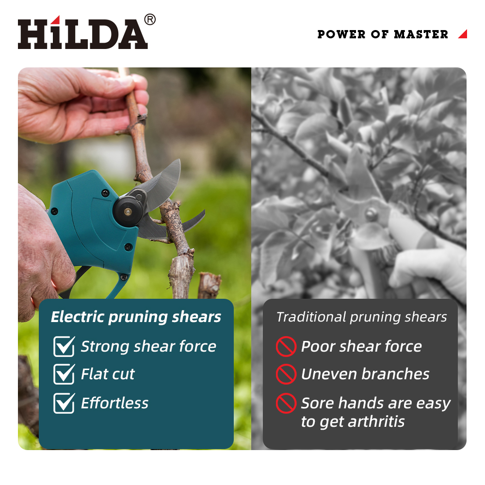 HILDA 18V Brushless Cordless E - đánh giá và giá Gardening Tools Basic