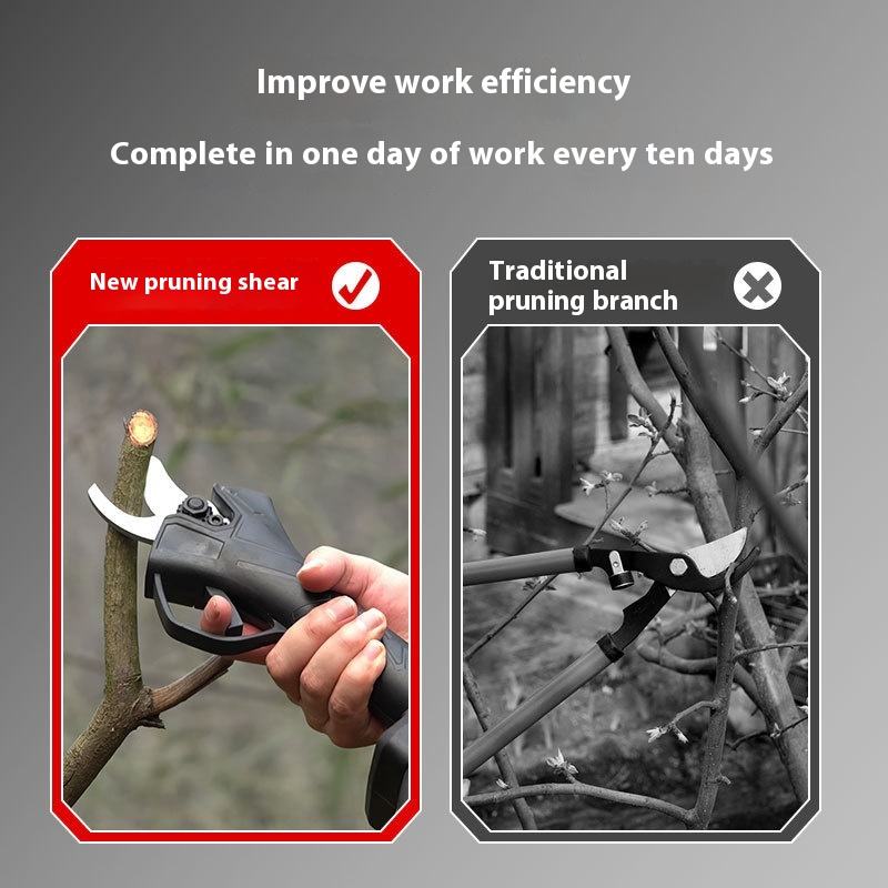 Cordless Electric Garden Pruni - đánh giá và giá Pruning Shears