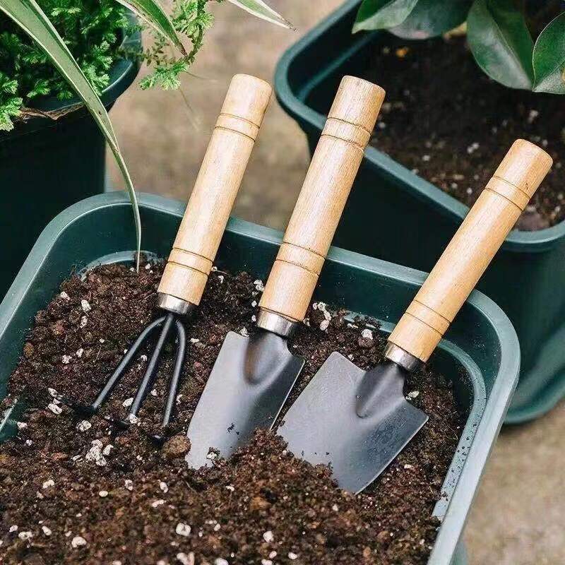 3PC/1Set Mini Gardening Tools  - đánh giá và giá Gardening Tools Gifts