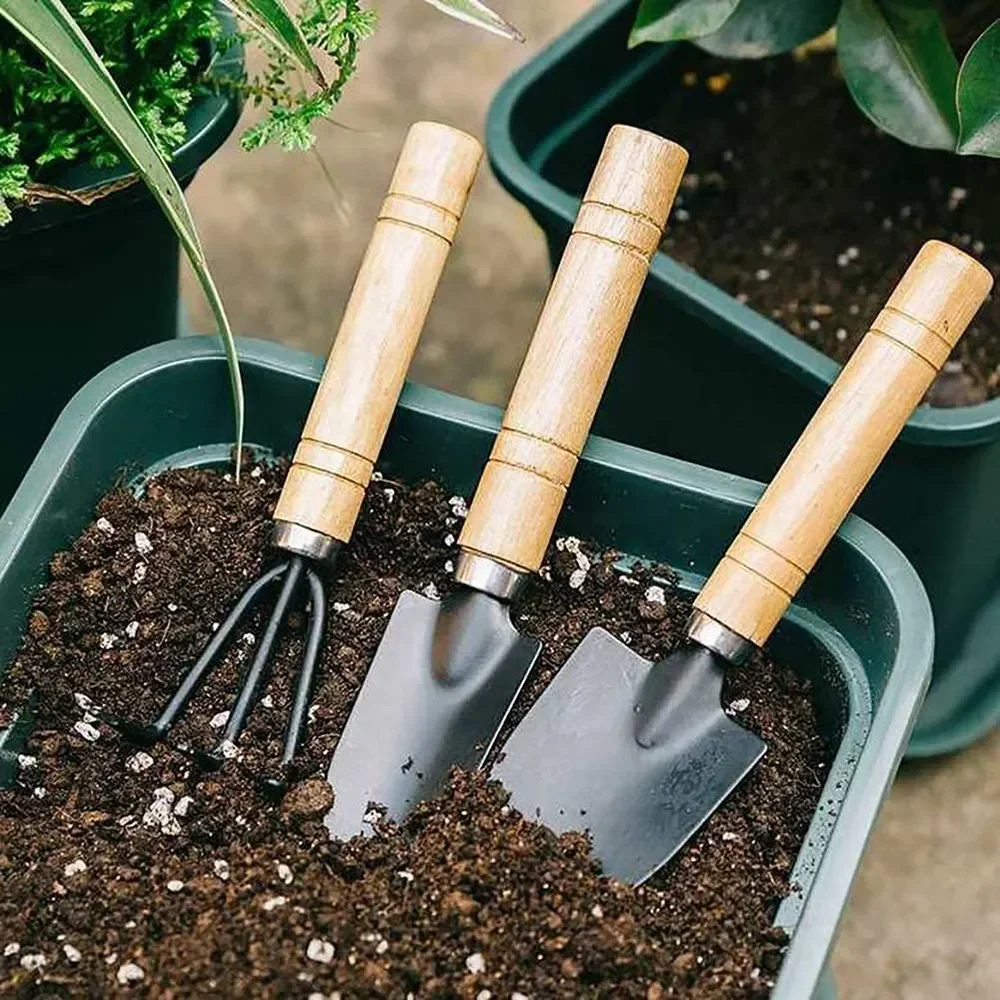 3Pcs/Set Mini Garden Tool Set  - đánh giá và giá Gardening Tools Gifts