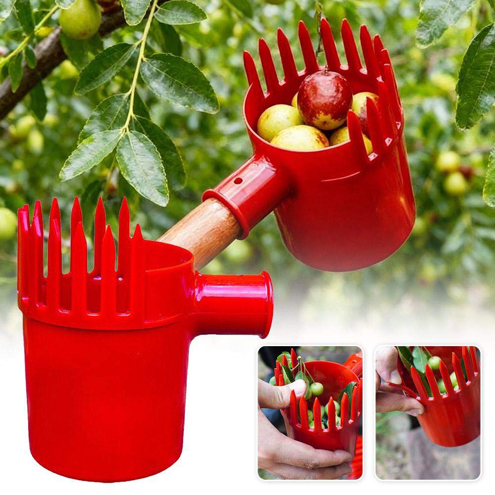 Fruit Picker Tool Portable Bas - đánh giá và giá Gardening Yard Tools