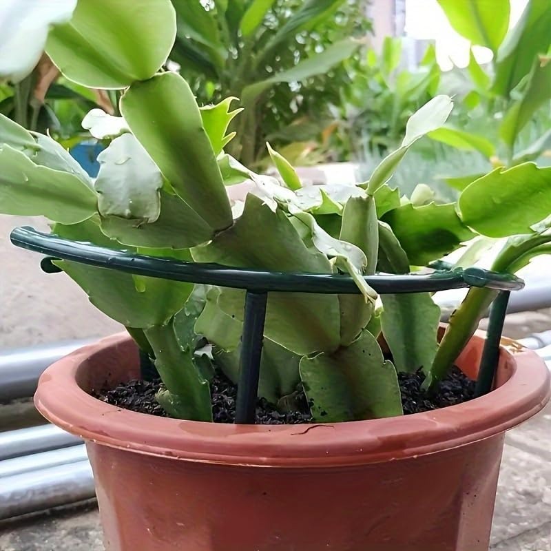 30-1PCS Plastic Plant Support  - đánh giá và giá Gardening Tools Gifts