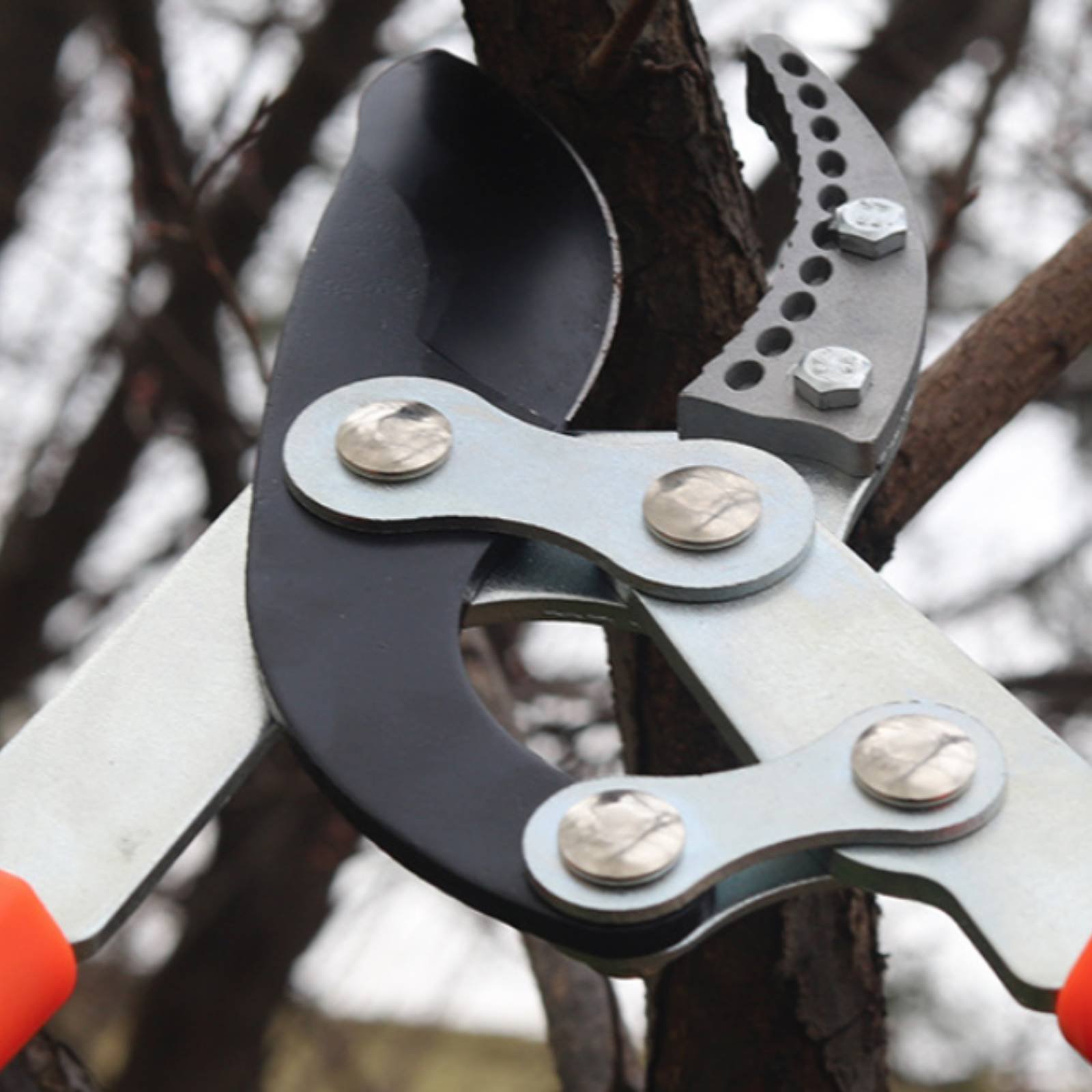 Telescopic Branch Pruners Shar - đánh giá và giá Gardening Tools Of