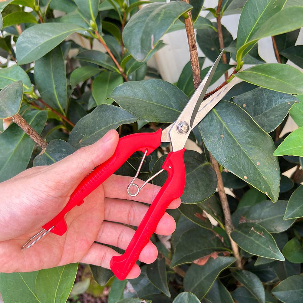 Pro Garden Pruning Shears Leng - đánh giá và giá Gardening Tools Basic