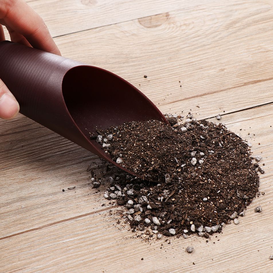 1PC Plastic Soil Shovel Cup Fo - đánh giá và giá Gardening Tools Gifts